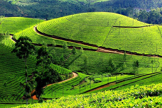 Manali Tour Package
