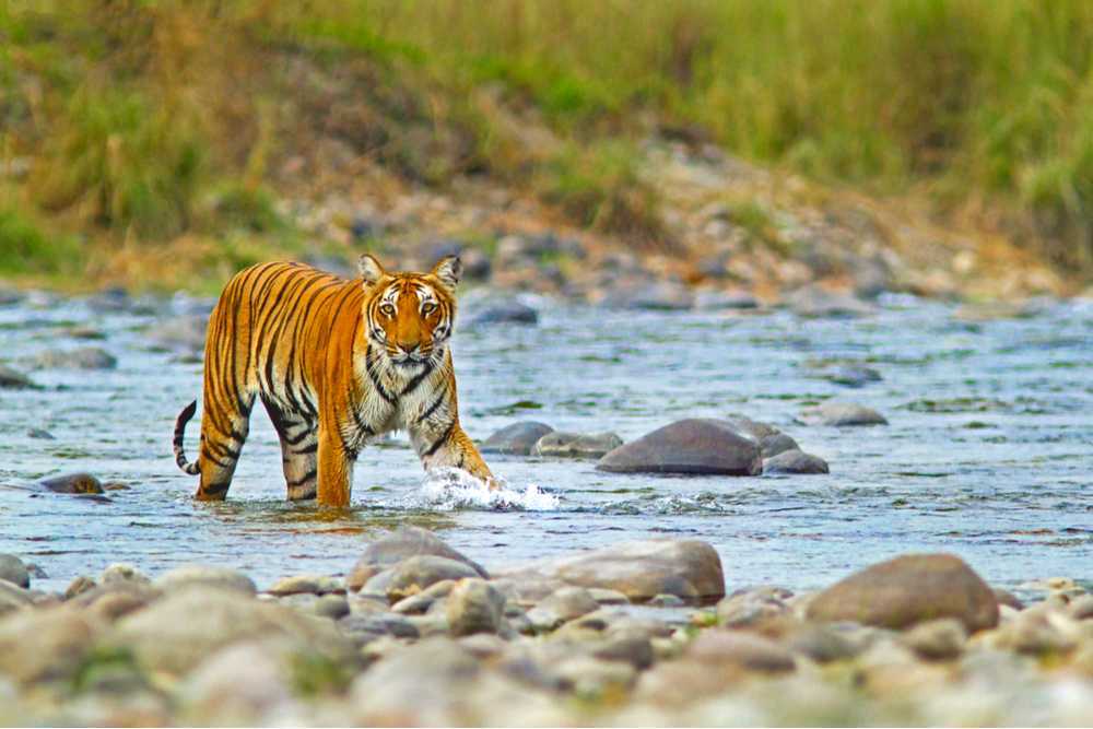 Manali Tour Package
